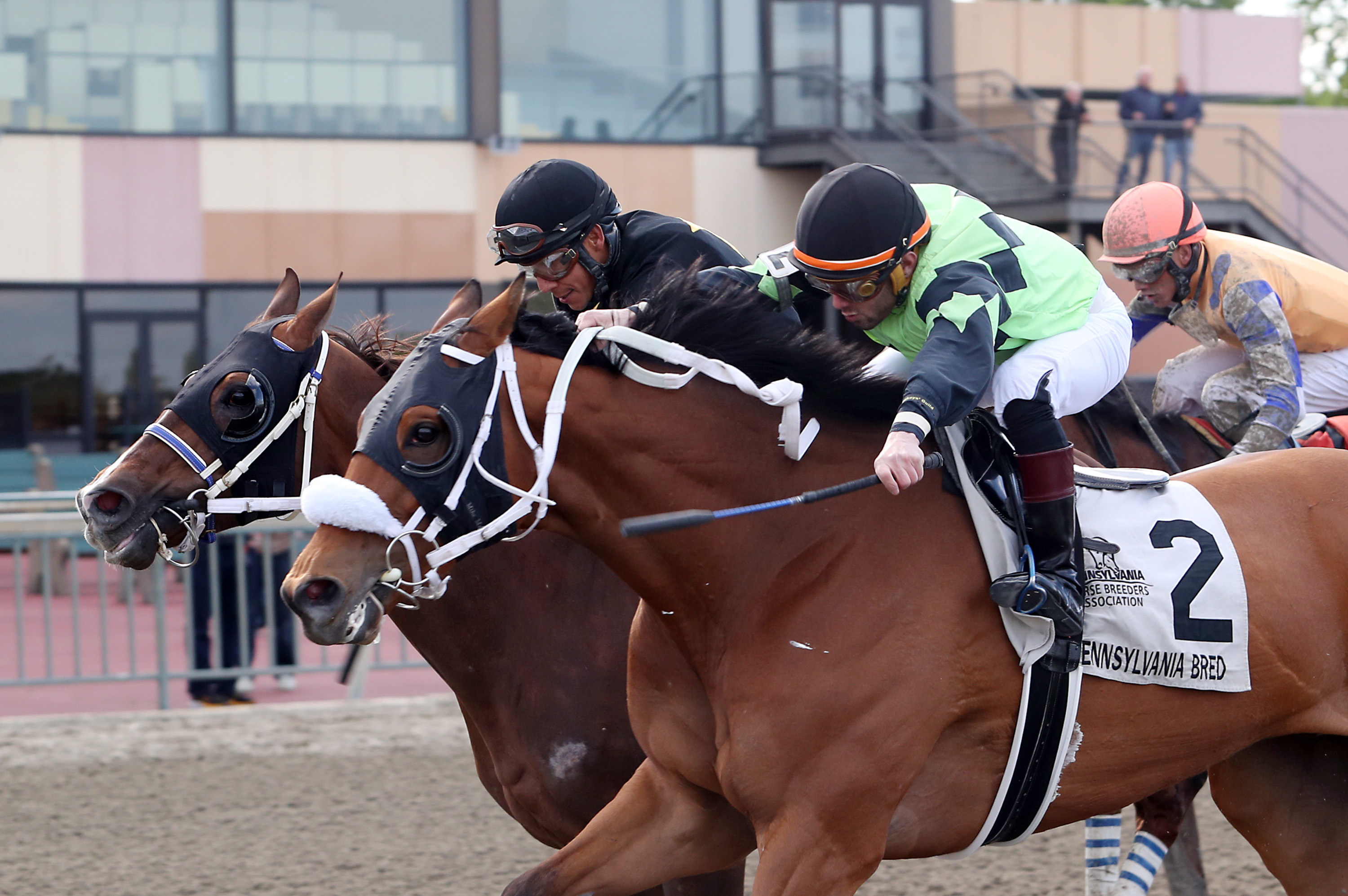 Twisted Ride guts it out to take Page McKenney Stakes